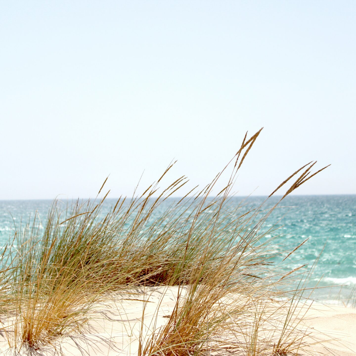  Timor Sea, to the northwest and west by the Indian Ocean, let’s go!